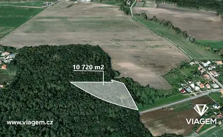 Prodej lesa 5 360 m², Dašice, okres Pardubice