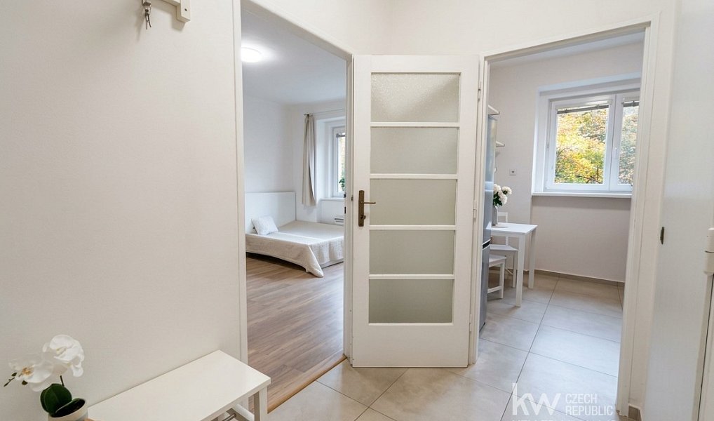 Pronájem bytu 1+1 33 m², Praha – náhled fotky 7