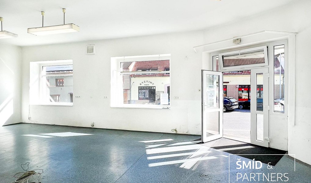 Prodej domu 540 m² s pozemkem 284 m², Zásmuky – náhled fotky 11