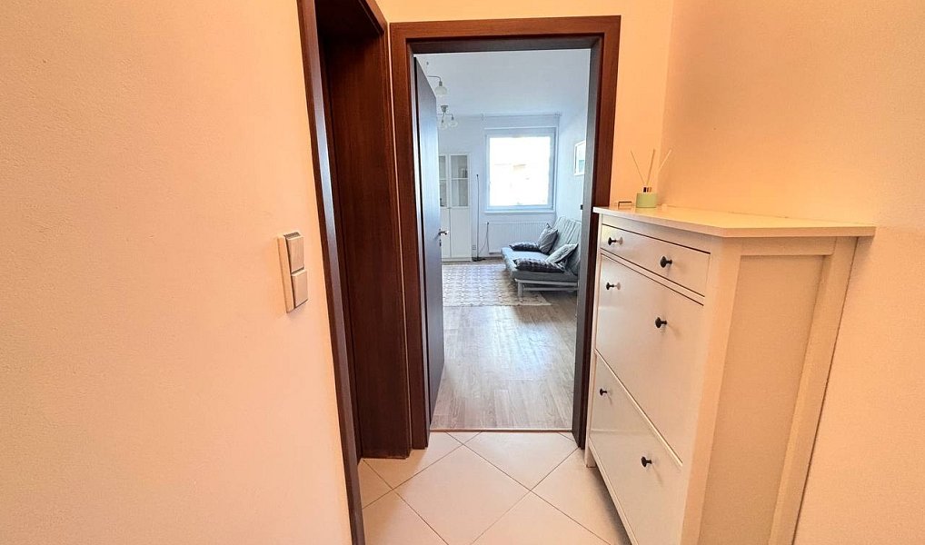 Pronájem bytu 1+kk 30 m², Praha – náhled fotky 9