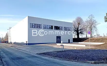Pronájem skladovacích prostor 1 481 m², Holubice, okres Vyškov
