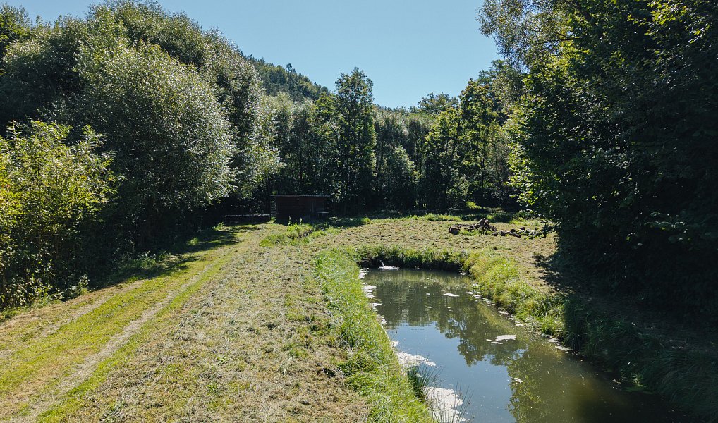 Prodej vodní plochy 8 295 m², Nové Hrady – náhled fotky 8