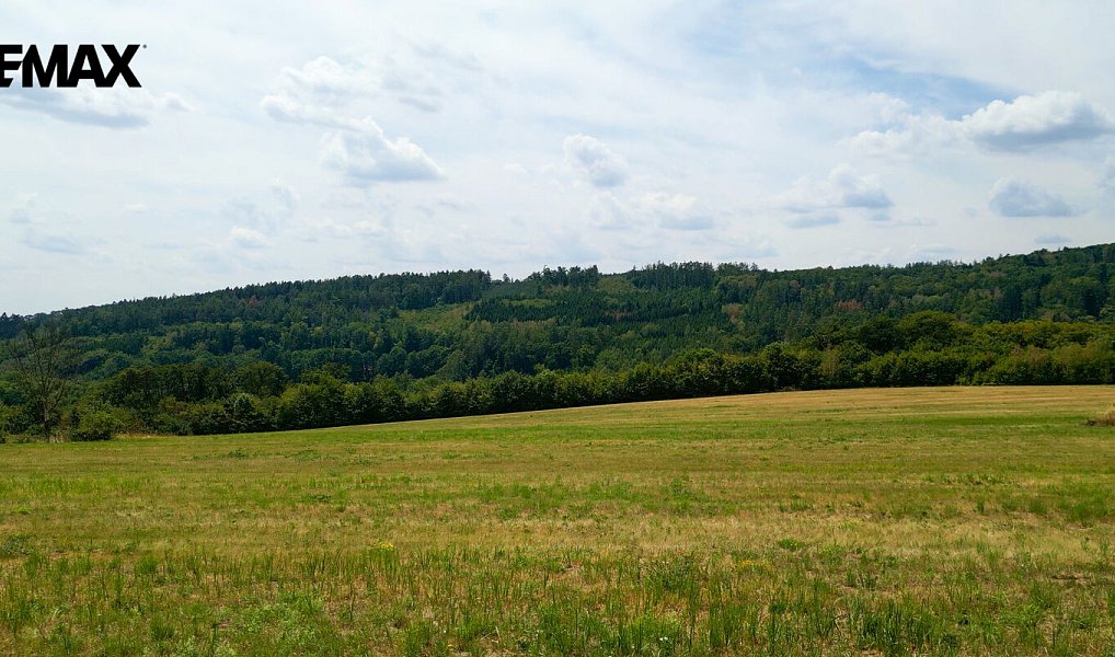 Prodej pole 16 962 m², Nemojany – náhled fotky 7