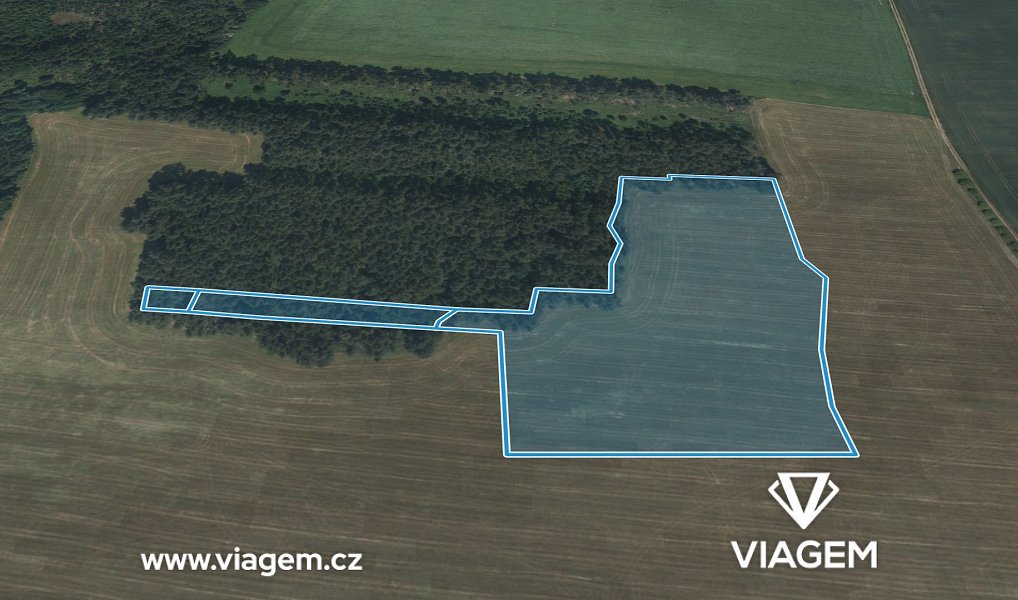 Prodej pole 5 464 m², Slabčice – náhled fotky 2