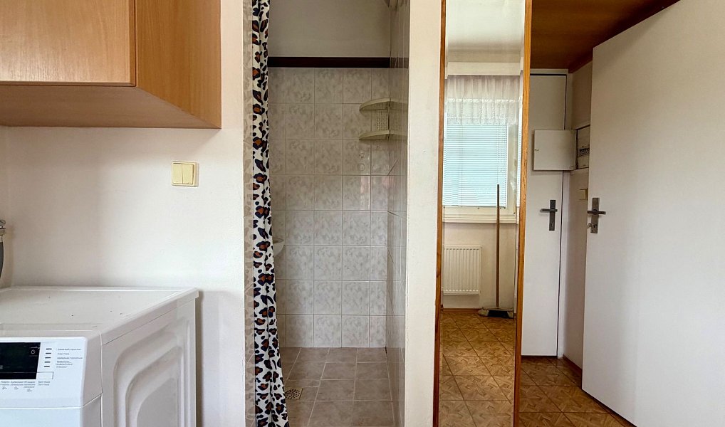 Pronájem bytu 1+1 30 m², Rožnov pod Radhoštěm – náhled fotky 8