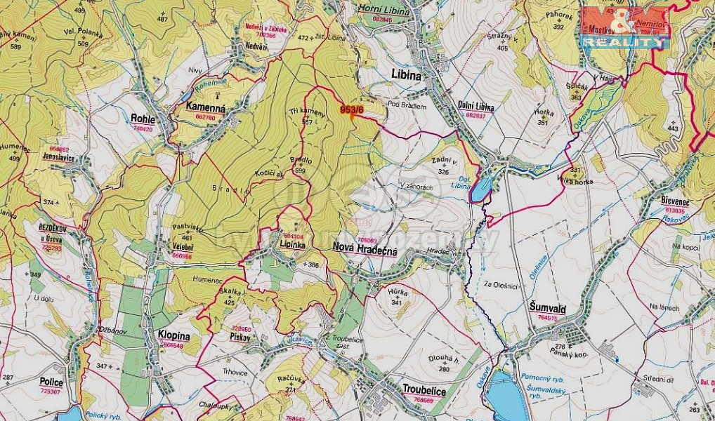 Prodej lesa 6 647 m², Nová Hradečná – náhled fotky 4