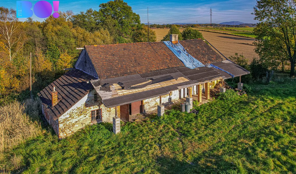 Prodej domu 152 m² s pozemkem 3 800 m², Albrechtice – náhled fotky 3