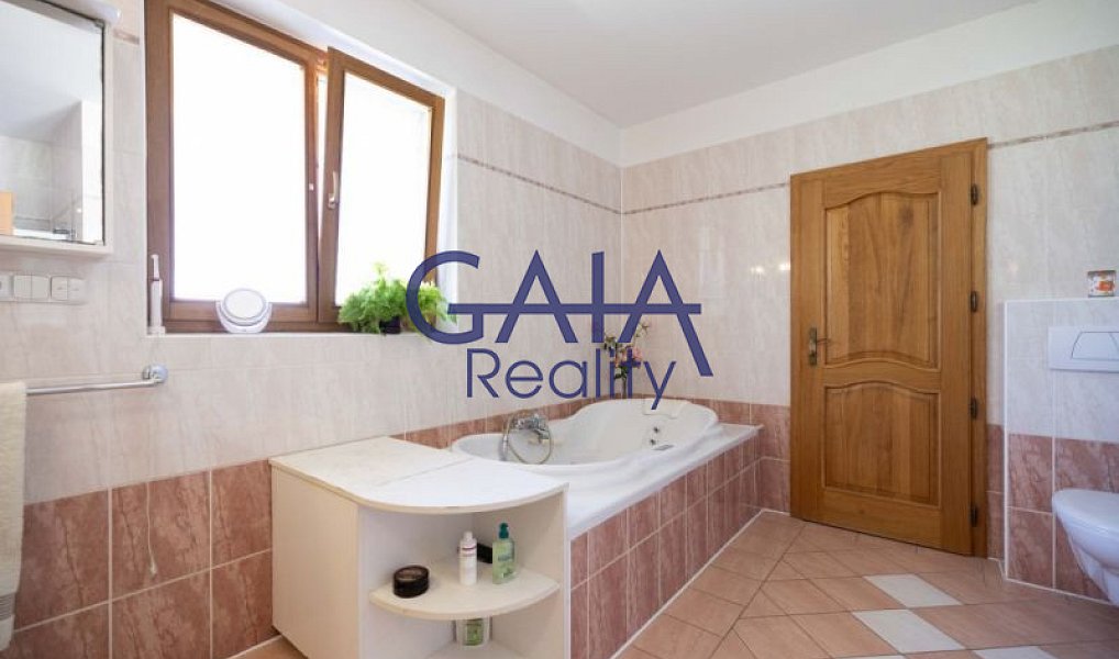 Prodej domu 354 m² s pozemkem 3 088 m², Strážovice – náhled fotky 12