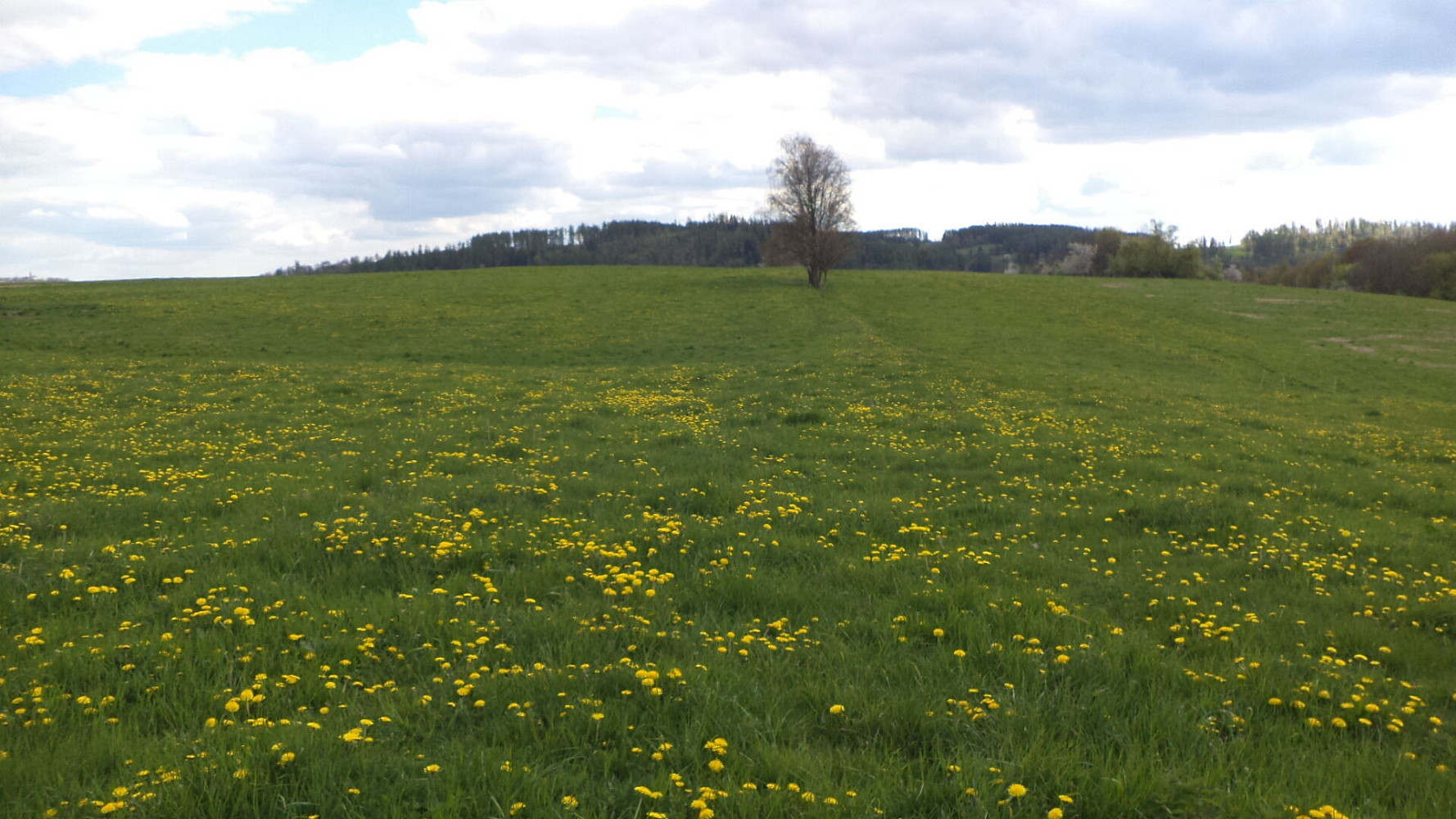 Prodej pozemku 10 063 m² – fotografie 2