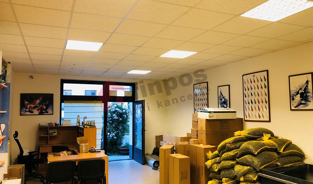 Pronájem obchodních prostor 79 m², Brno – náhled fotky 4