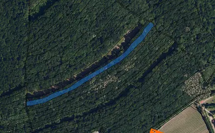 Prodej lesa 2 114 m², Boleradice, okres Břeclav