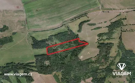 Prodej lesa 2 383 m², Velká Bukovina, okres Děčín