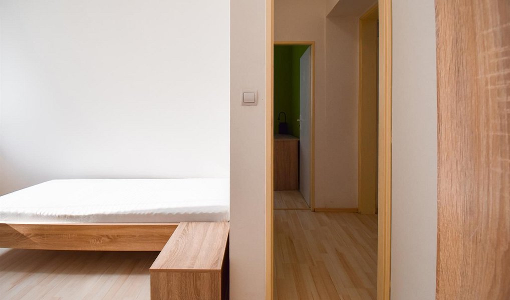 Pronájem bytu 2+1 45 m², Brno – náhled fotky 6