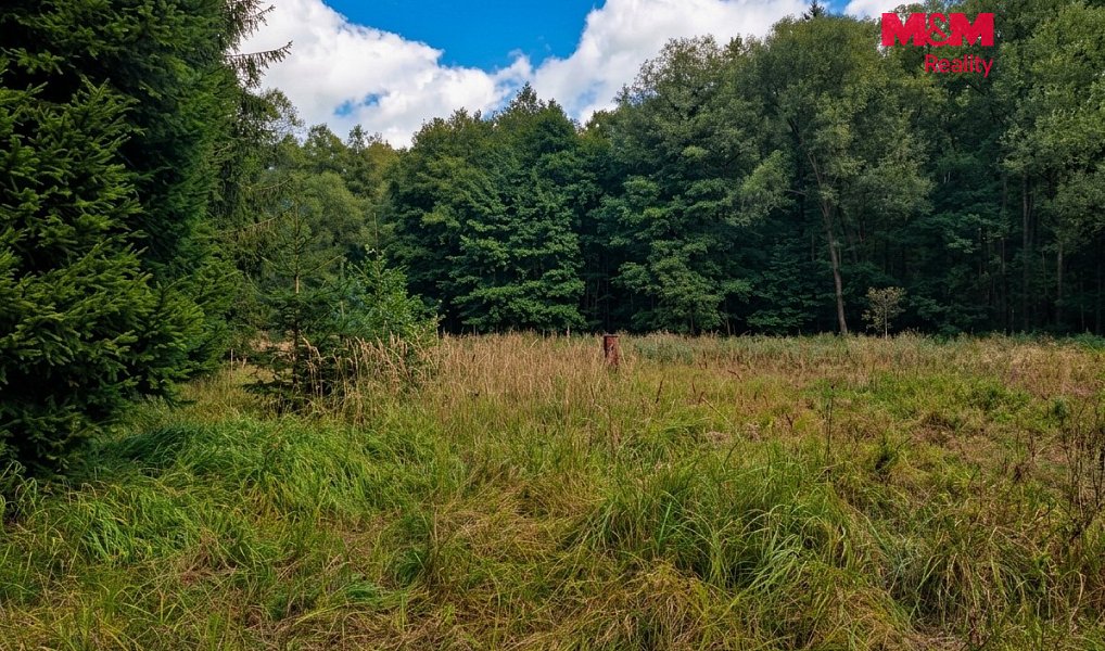 Prodej louky 10 113 m², Kožlany – náhled fotky 18