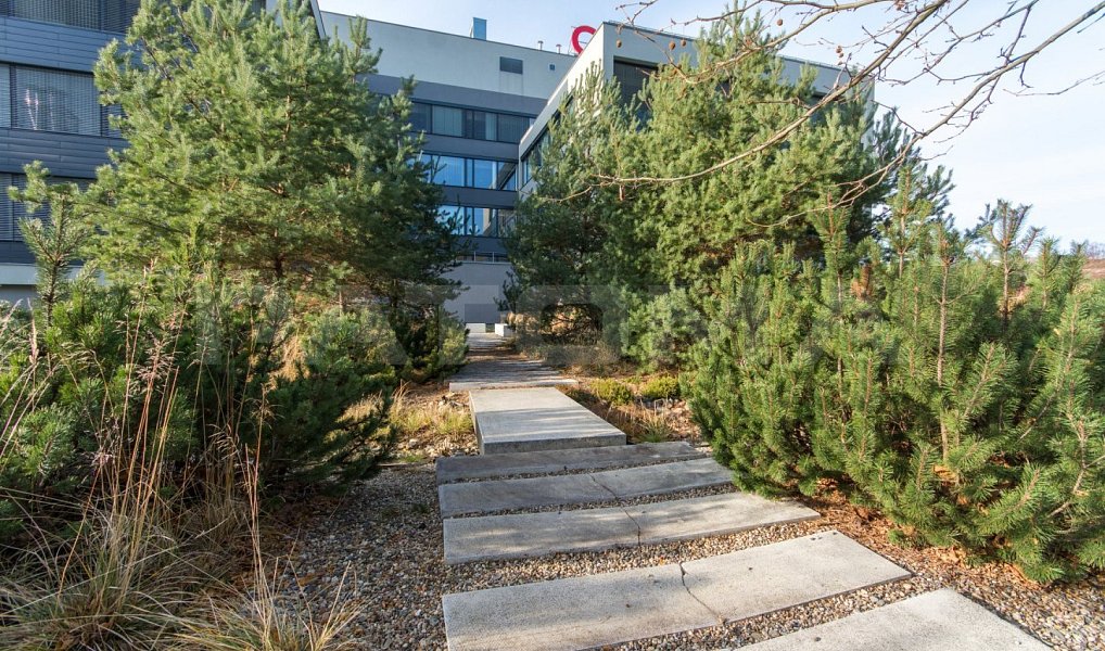 Pronájem kanceláře 398 m², Praha – náhled fotky 18