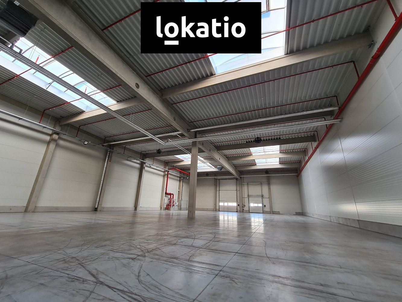 Pronájem skladovacích prostor 1 168 m² — photo 3
