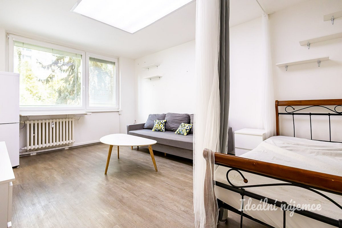 Pronájem bytu 1+1 31 m² – fotografie 5