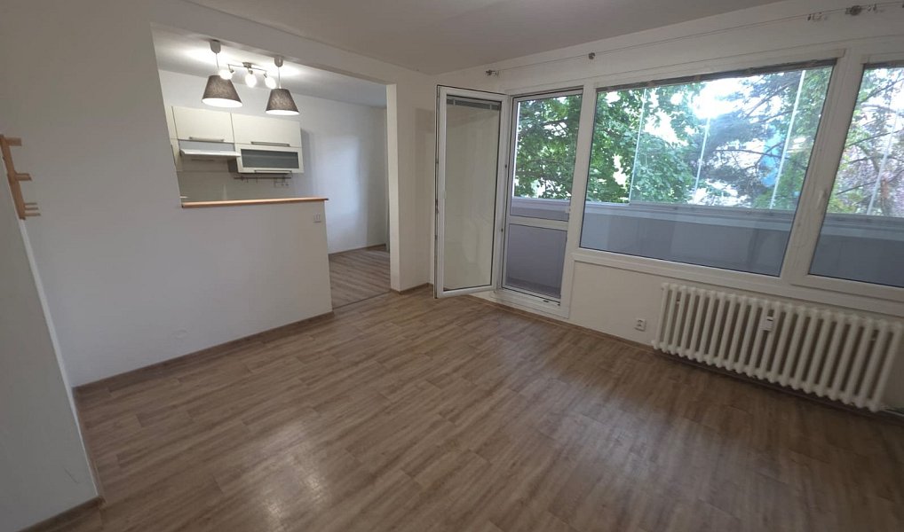 Pronájem bytu 4+kk 98 m², Brno – náhled fotky 3