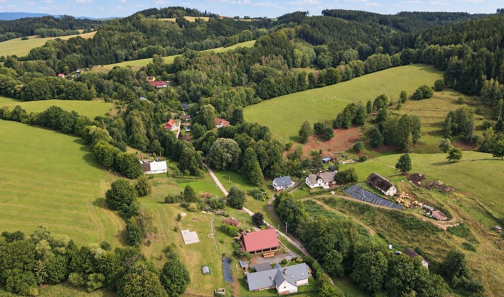 Prodej stavebního pozemku 4 934 m², Staré Buky – náhled fotky 10