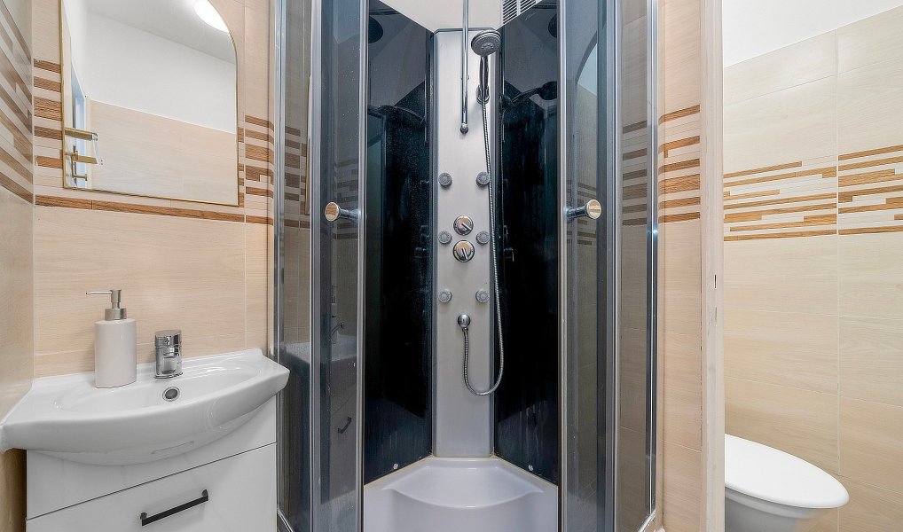 Prodej bytu 1+1 31 m², Plzeň – náhled fotky 7