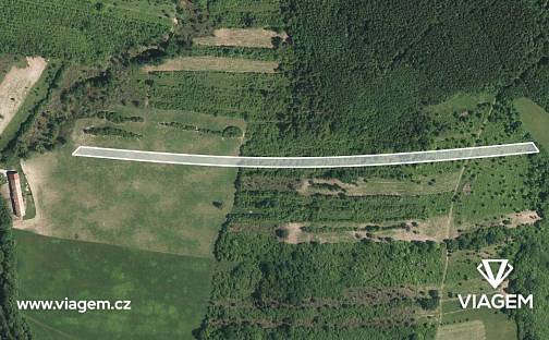 Prodej pole 4 729 m², Velká nad Veličkou, okres Hodonín