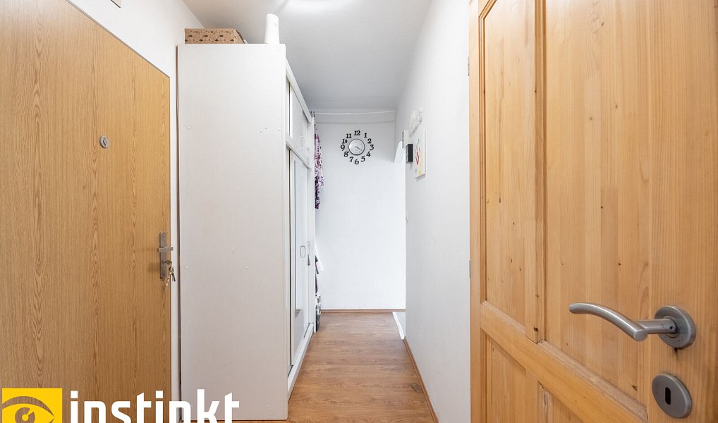 Prodej bytu 1+1 39 m², Plzeň – náhled fotky 14