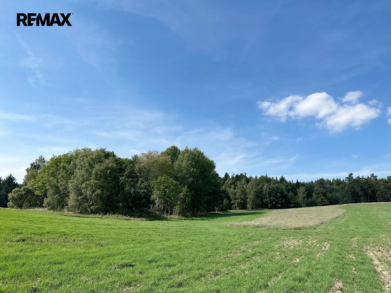 Prodej lesa 12 651 m² – fotografie 5