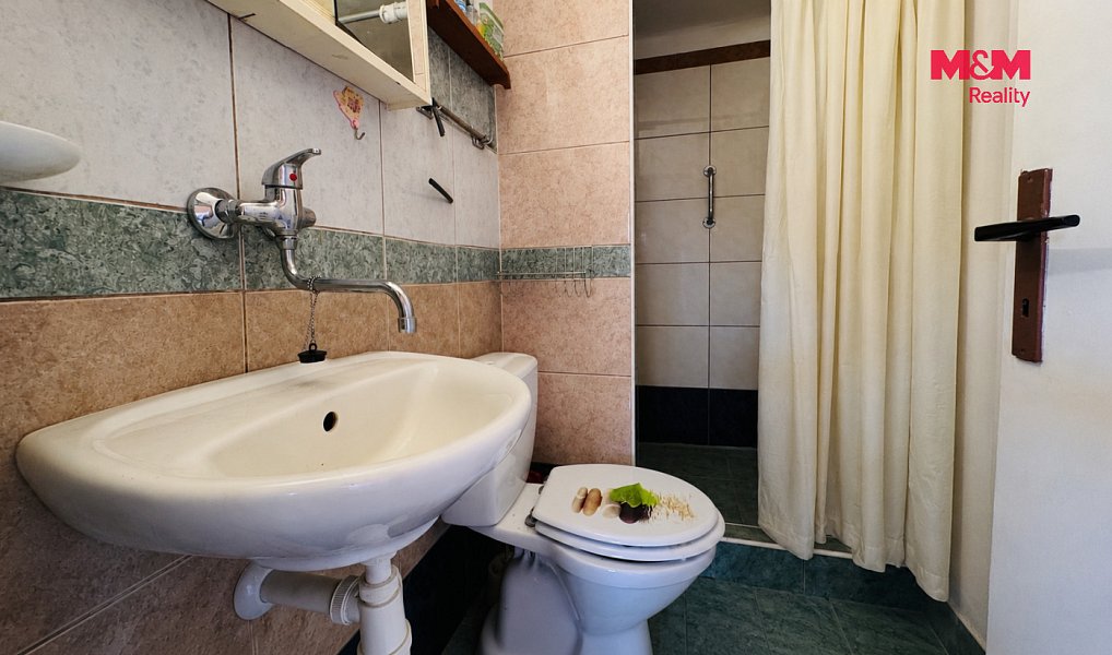 Prodej domu 46 m² s pozemkem 1 241 m², Libějovice – náhled fotky 11