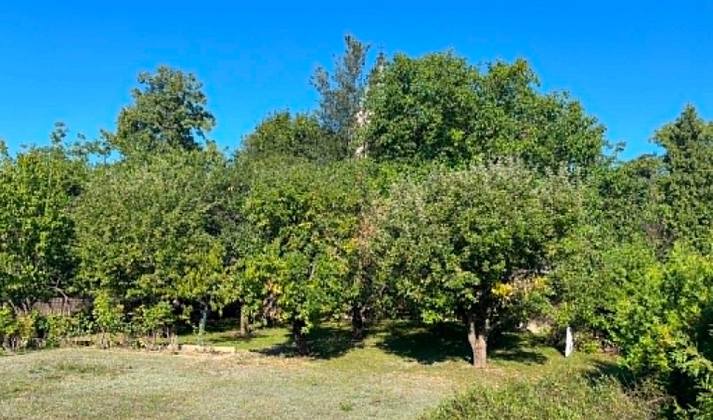 Prodej domu 175 m² s pozemkem 1 035 m², Plumlov – náhled fotky 24
