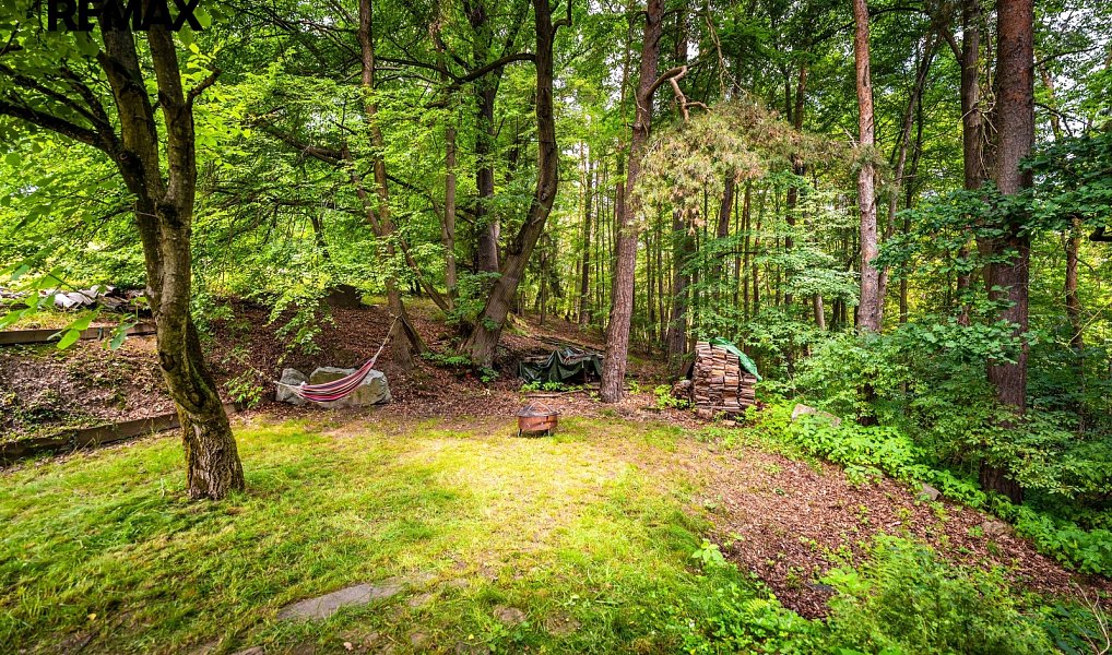 Prodej chaty/chalupy 50 m² s pozemkem 5 859 m², Komařice – náhled fotky 42