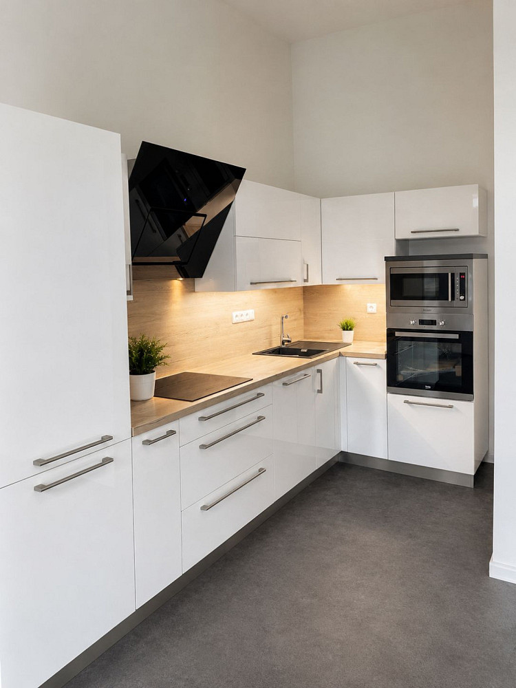 Pronájem bytu 1+kk 53 m² — photo 3