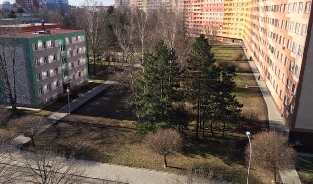 Prodej bytu 2+1 55 m², Ostrava – náhled fotky 9