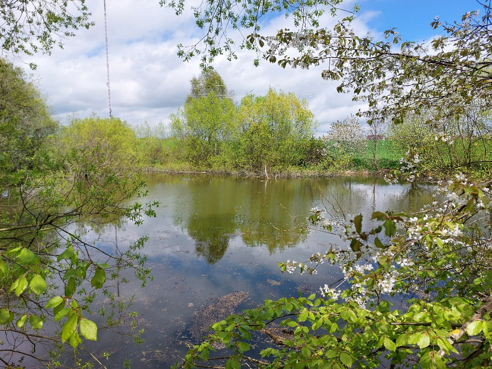 Prodej vodní plochy 12 045 m²