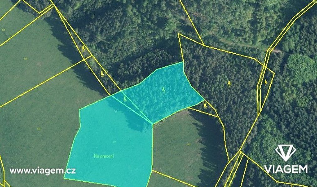 Prodej lesa 978 m², Čestice – náhled fotky 3