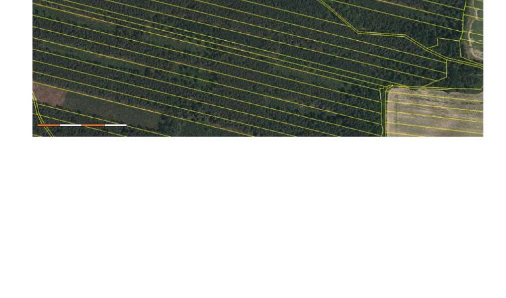 Prodej lesa 32 388 m², Třeboň – náhled fotky 3