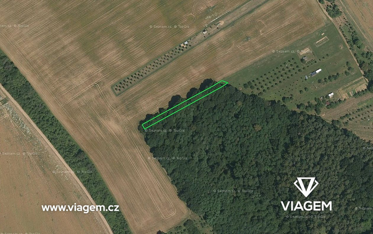 Prodej lesa 303 m²