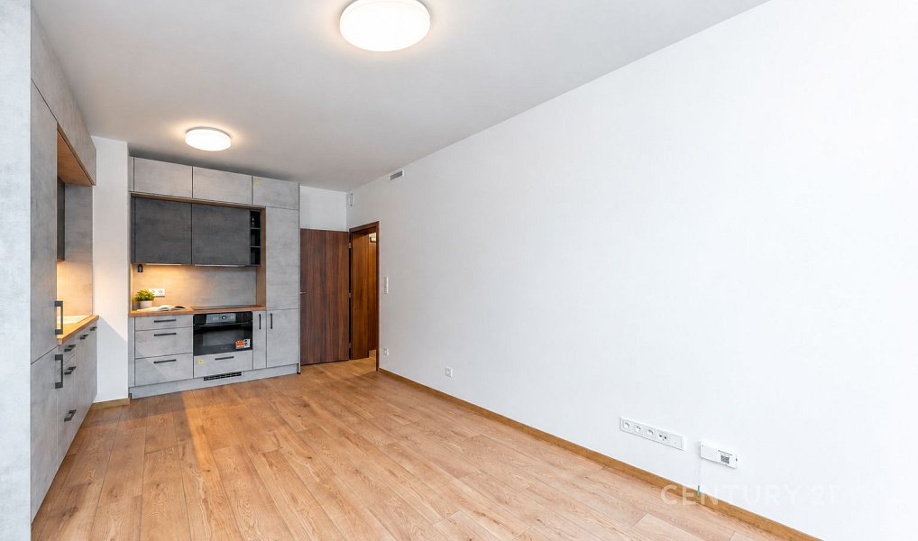 Pronájem bytu 3+kk 66 m², Praha – náhled fotky 6