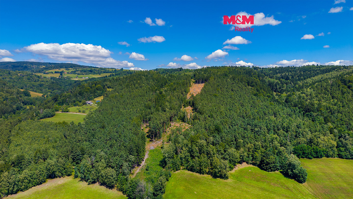 Prodej lesa 57 919 m²