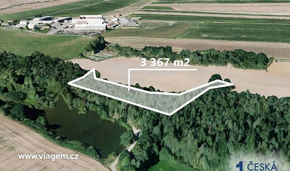 Prodej lesa 1 683 m², Dobříč – náhled fotky 2