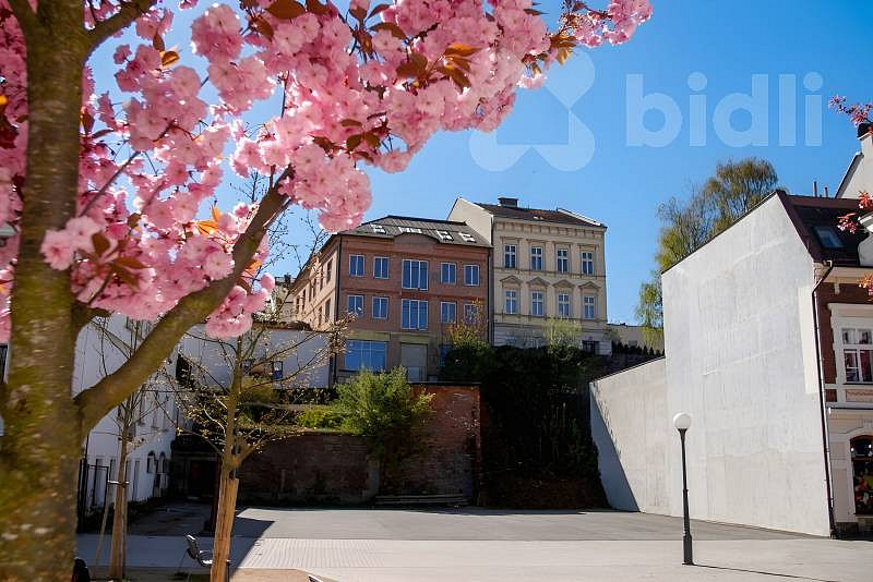 Prodej stavebního pozemku 774 m² – fotografie 4