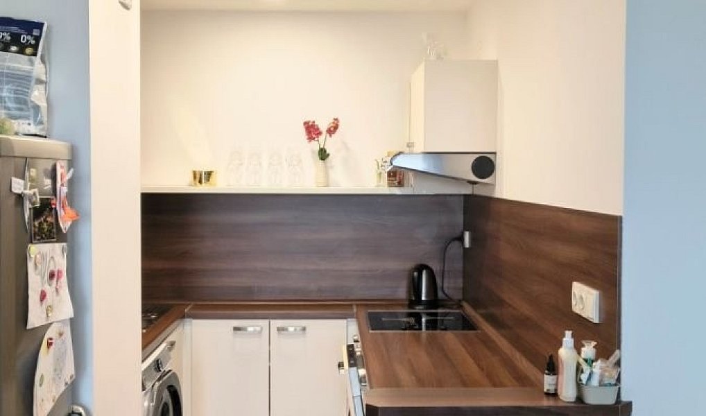 Prodej bytu 2+kk 41 m², Praha – náhled fotky 2