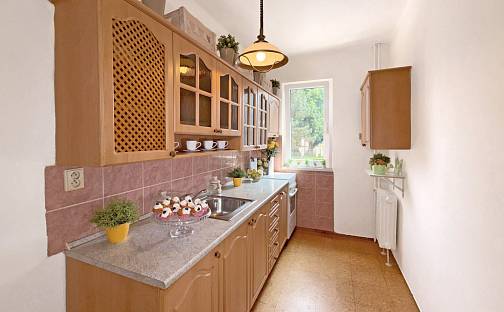 Prodej bytu 2+1 51 m², Dobrovodská, České Budějovice - České Budějovice 5