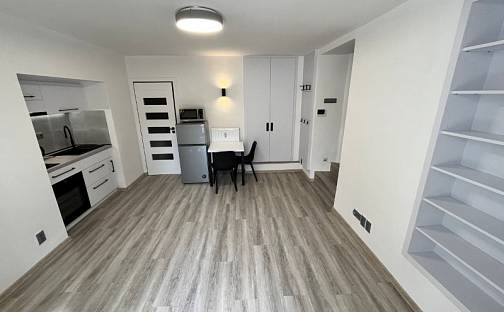 Pronájem bytu 1+kk 20 m², Čajkovského, Jihlava