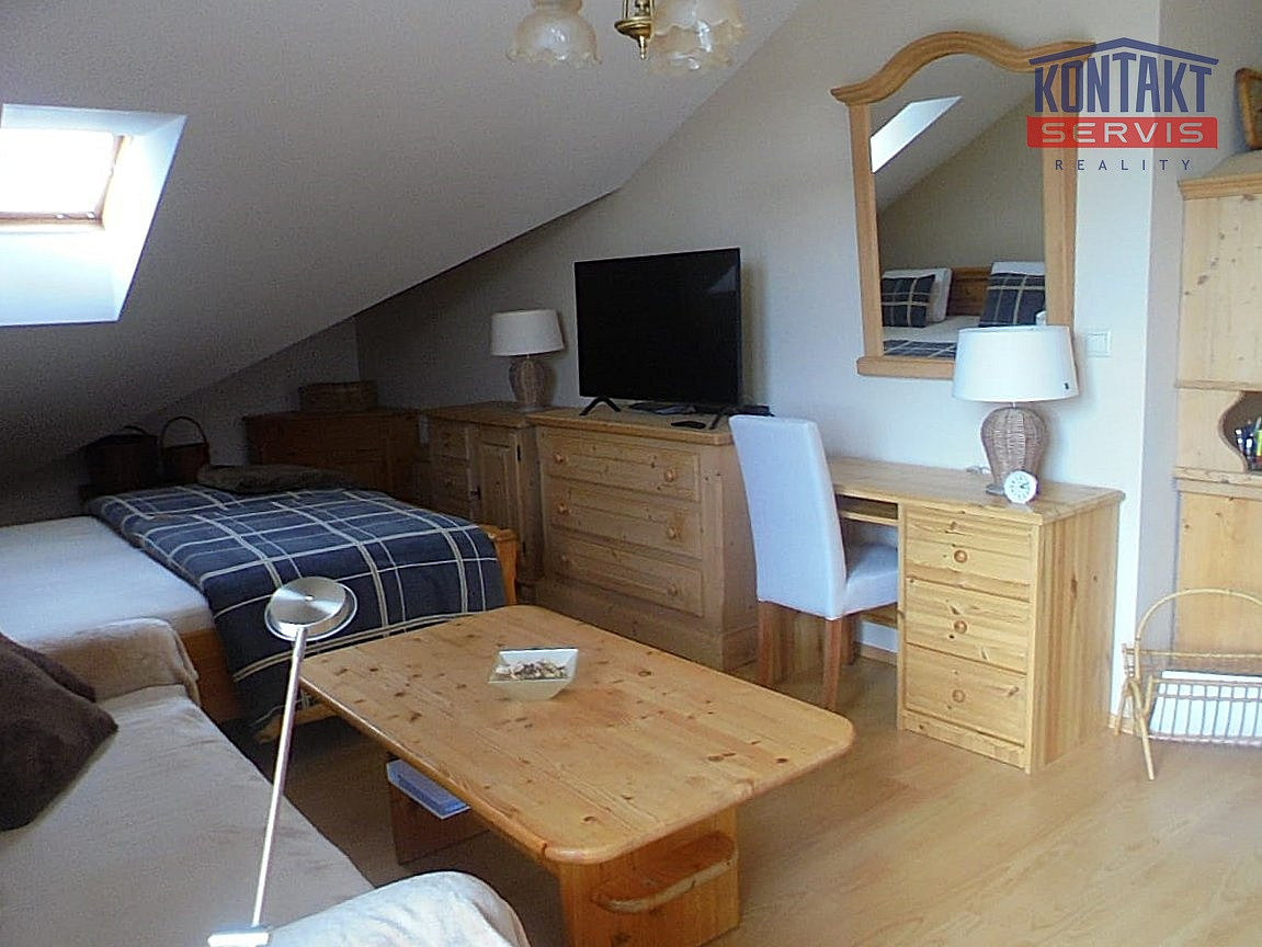 Pronájem bytu 1+kk 50 m² – fotografie 5