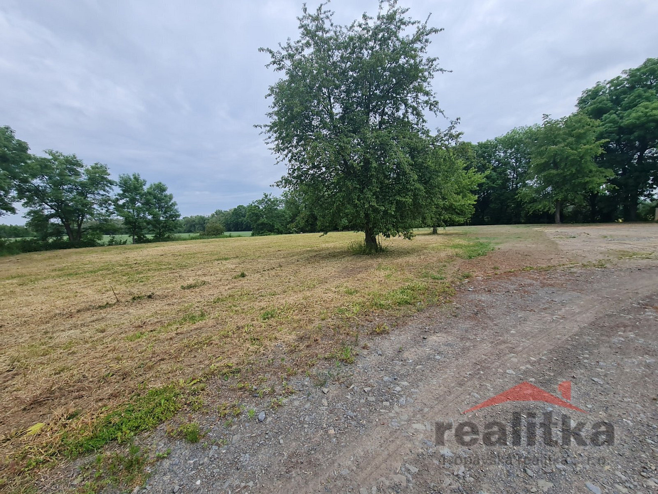 Prodej komerčního pozemku 6 000 m² – fotografie 2