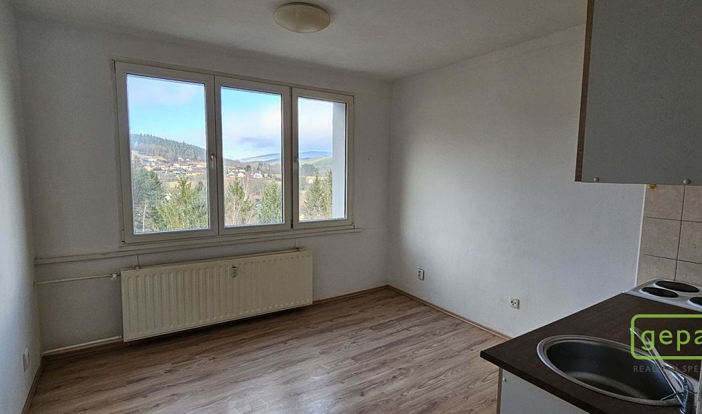 Pronájem bytu 1+kk 19 m², Větřní – náhled fotky 2