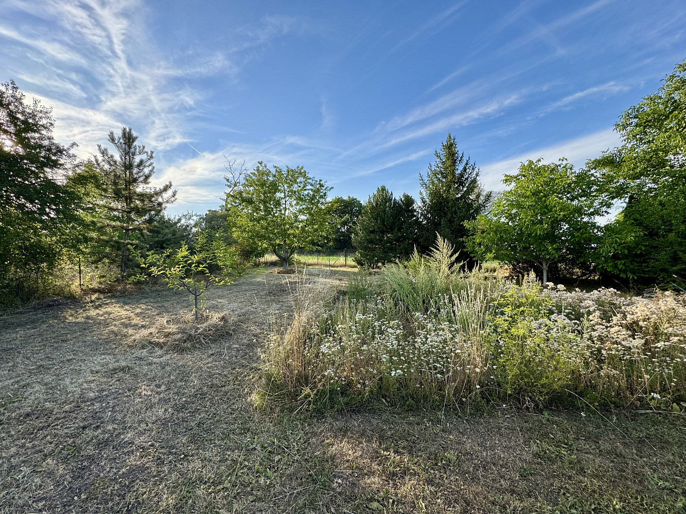 Prodej stavebního pozemku 1 466 m² – fotografie 3