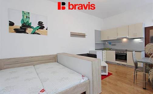 Pronájem bytu 1+kk 28 m², Stará, Brno - Zábrdovice