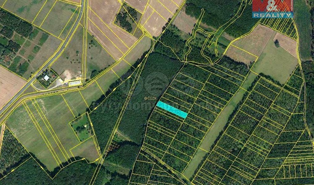 Prodej lesa 1 476 m², Uherčice – náhled fotky 3