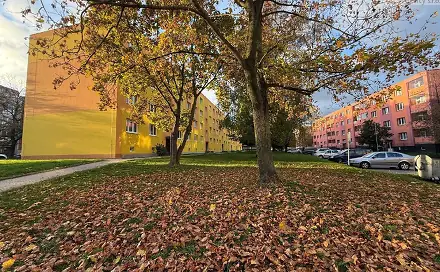 Prodej bytu 2+1 56 m²